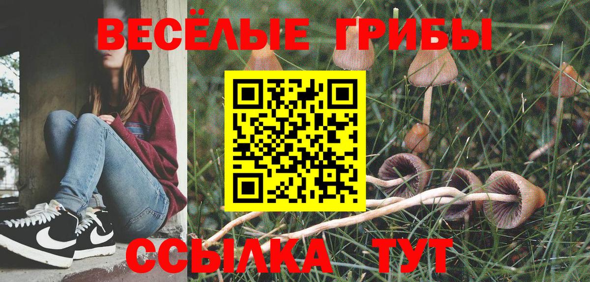 Волгодонск  где найти наркотики  Вход с VPN  Псилоцибиновые грибы Cubensis 