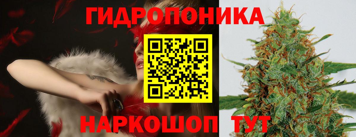 Каннабис планчик  Бошки Шишки индика  Канабис OG Kush  Волгодонск  Вход с VPN 