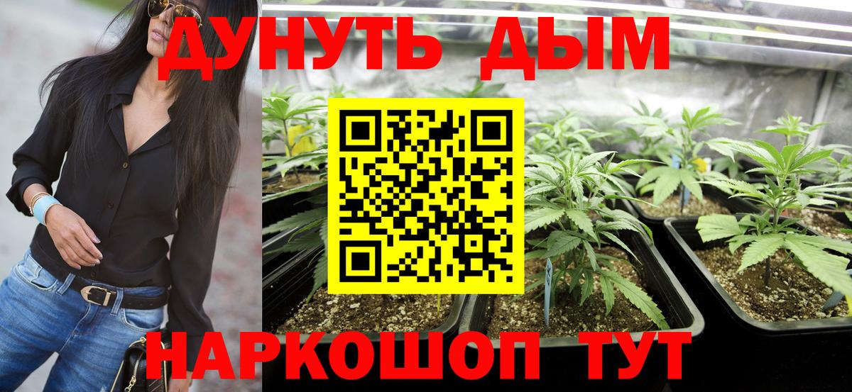 Бошки Шишки марихуана Волгодонск